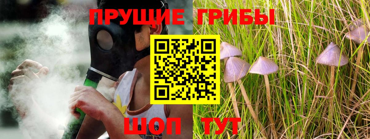 Галлюциногенные грибы Psilocybine cubensis Севастополь
