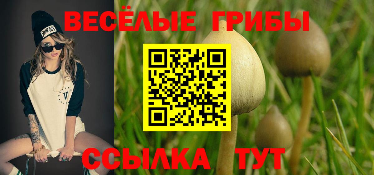 Галлюциногенные грибы мухоморы  Вход с VPN  Севастополь 